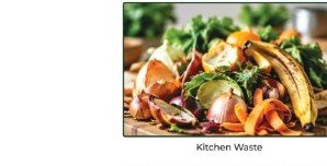 Kitchen Waste