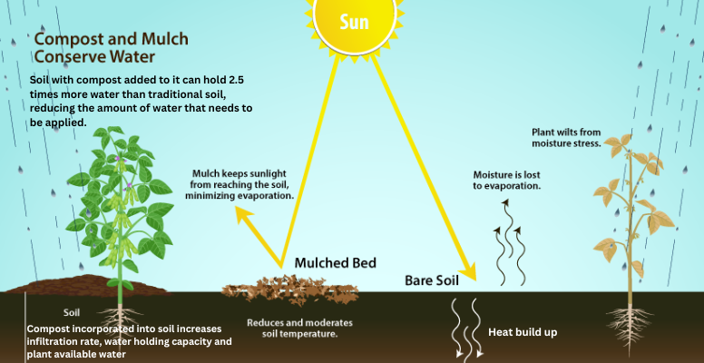 Highway composting: Enhancing water efficiency